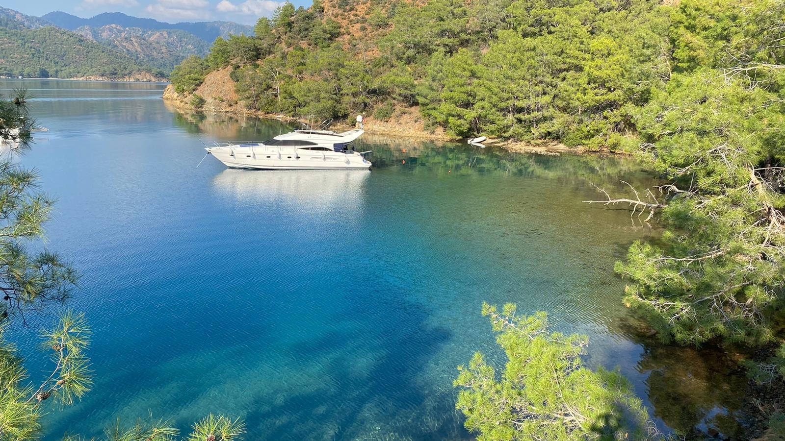 WhatsApp Image 2024-07-16 at 13.21.53.jpeg