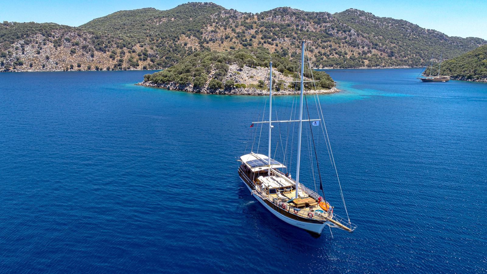 WhatsApp Image 2024-08-03 at 17.42.15 (1).jpeg