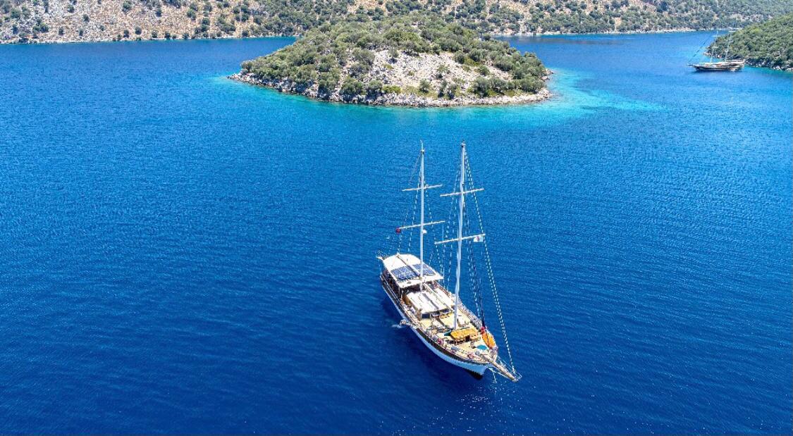 WhatsApp Image 2024-08-03 at 17.42.19 (1).jpeg