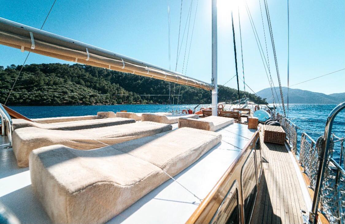 WhatsApp Image 2024-08-03 at 17.42.26.jpeg