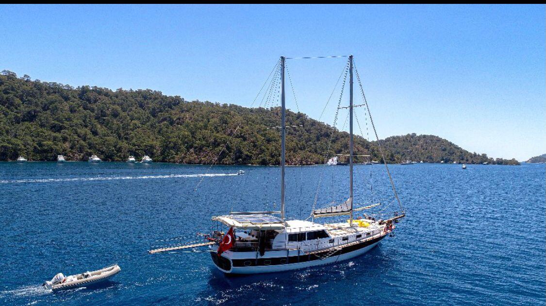 WhatsApp Image 2024-08-03 at 17.43.26.jpeg