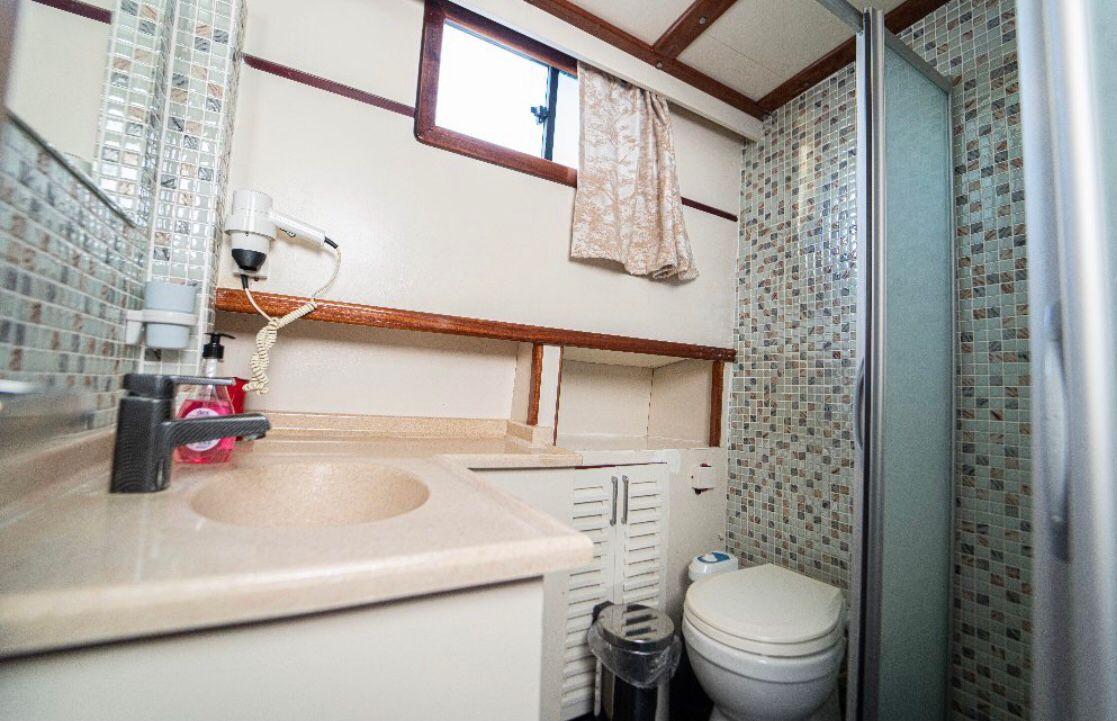 WhatsApp Image 2024-08-03 at 17.43.28.jpeg