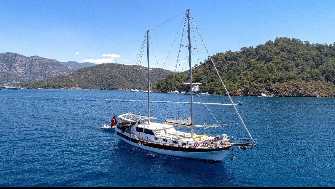 WhatsApp Image 2024-08-03 at 17.44.11.jpeg