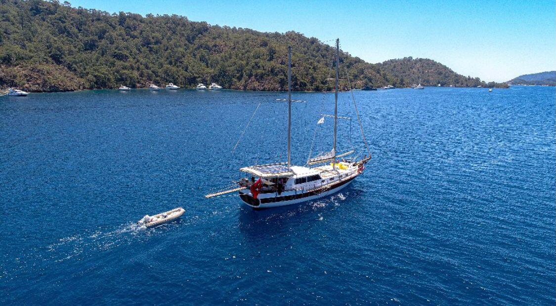 WhatsApp Image 2024-08-03 at 17.44.12.jpeg